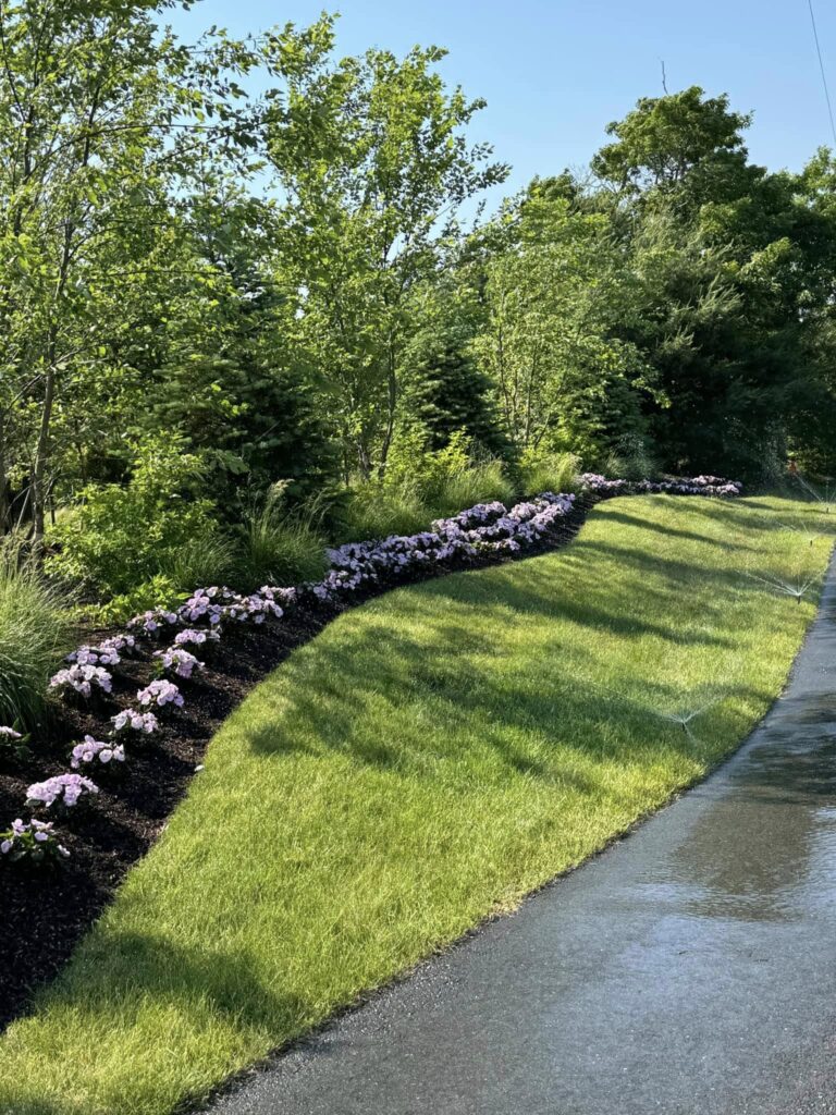 492546109_1220503676745516_7352381403779085270_n