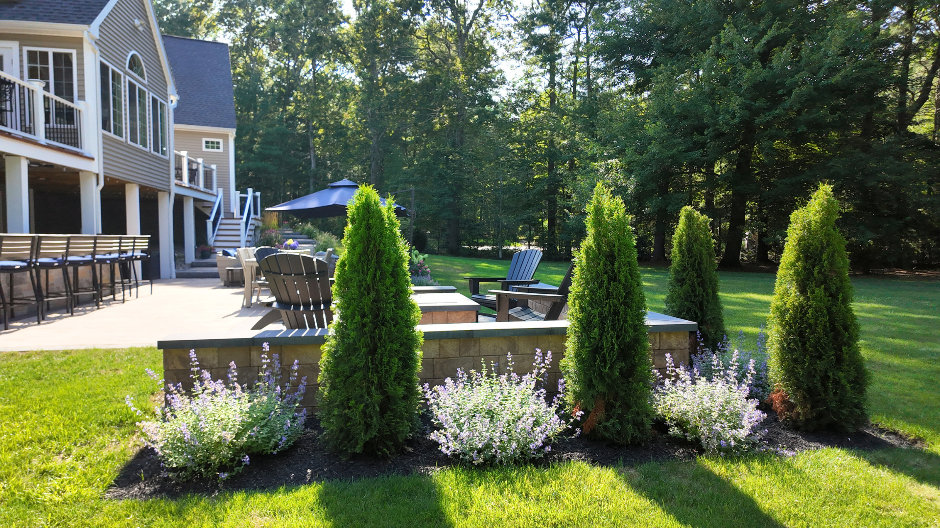 Emerald Green Arborvitae