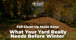 Fall Clean-Up Made Easy: What Your Yard Really Needs Before Winter