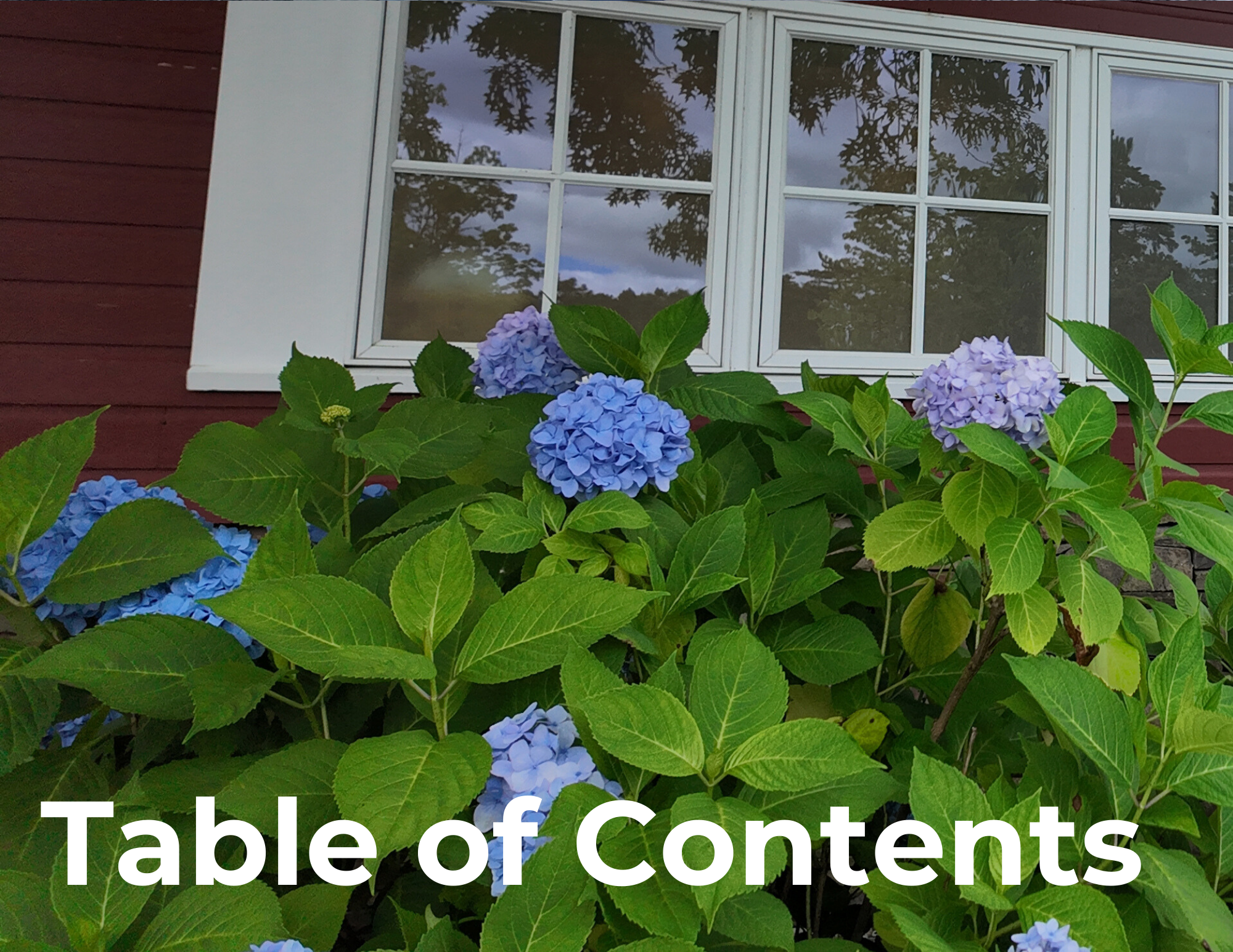 Table of Contents