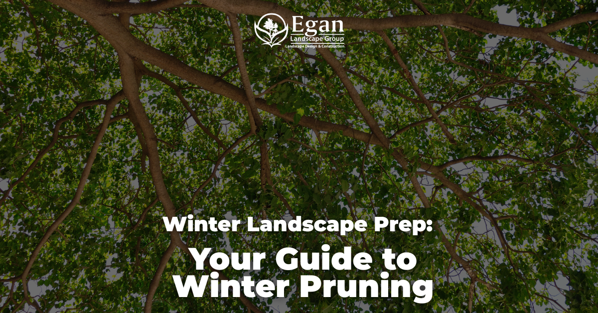 What is Winter Pruning?