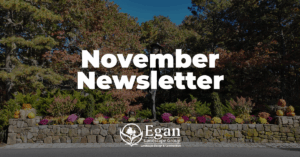 November Newsletter