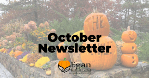 October Newsletter