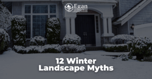 12 Winter Landscape Myths