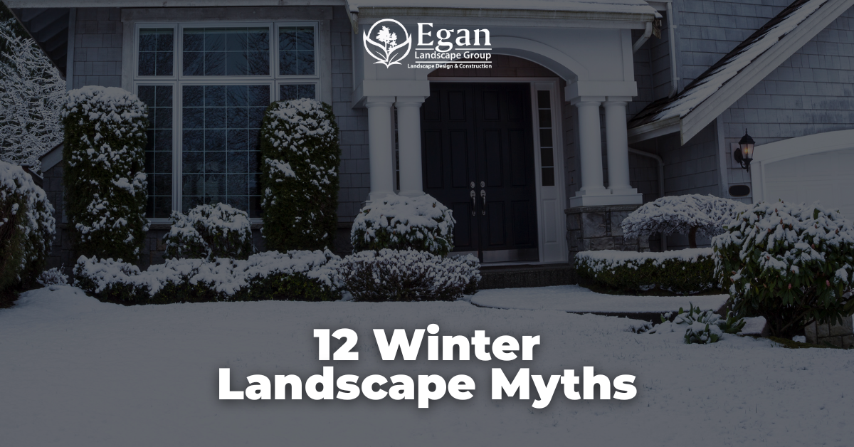 12 Winter Landscape Myths