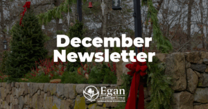 December Newsletter