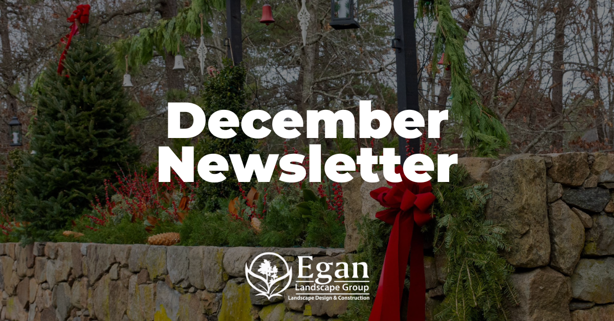 December Newsletter