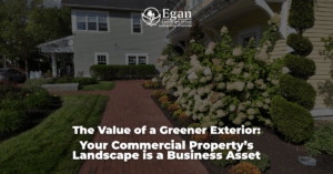 The Value of a Greener Exterior