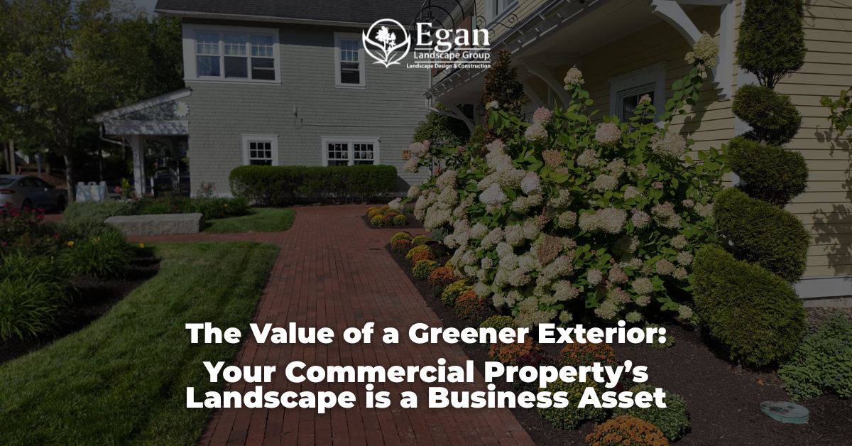 The Value of a Greener Exterior