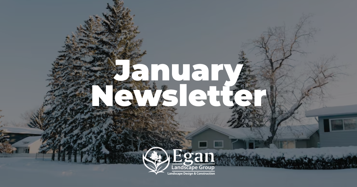 January Newsletter