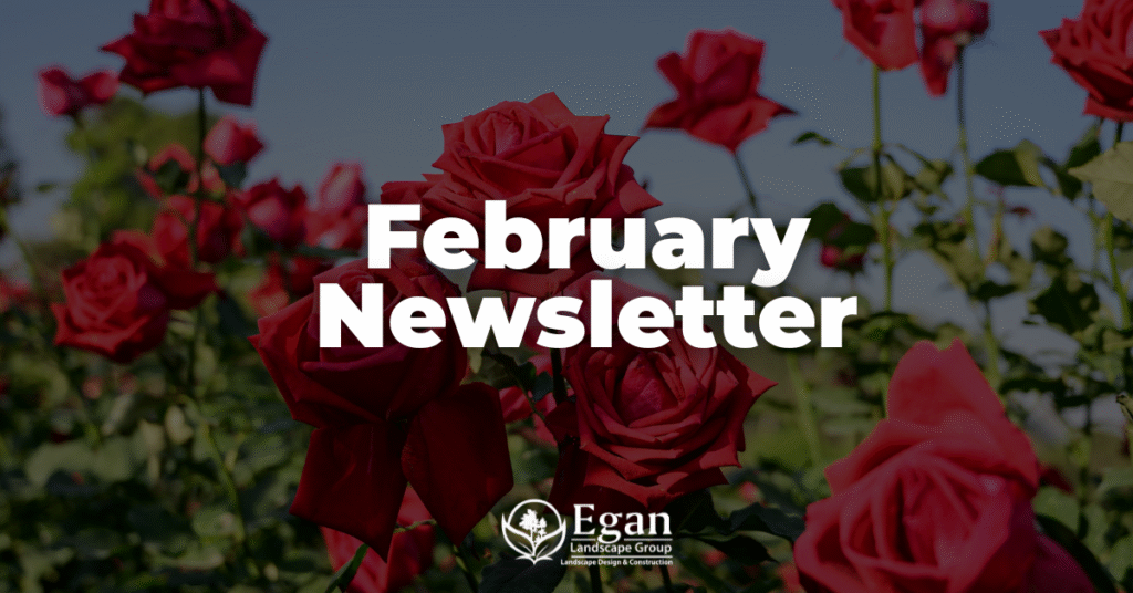 February Newsletter