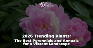 2026 Trending Plants: The Best Perennials and Annuals for a Vibrant Landscape