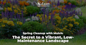 Spring Cleanup with Mulch: The Secret to a Vibrant, Low-Maintenance Landscape