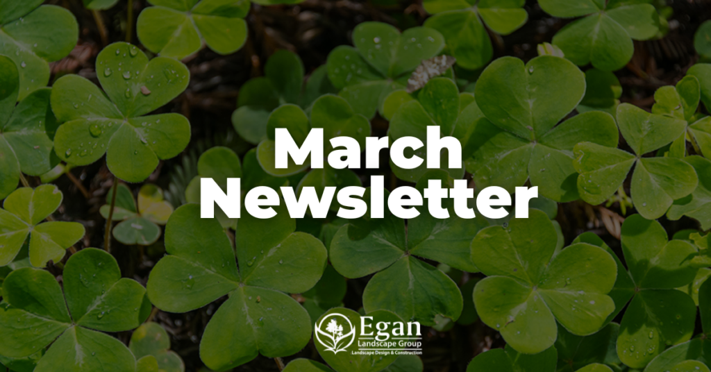 March Newsletter