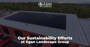 Our Sustainability Efforts at Egan Landscape Group
