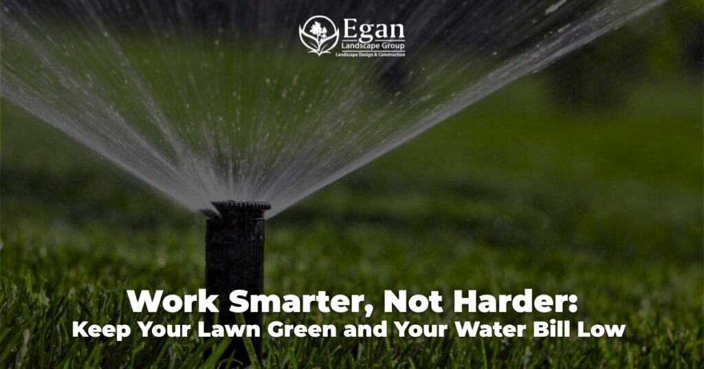 Work Smarter, Not Harder: Keep Your Lawn Green and Your Water Bill Low
