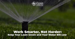 Work Smarter, Not Harder: Keep Your Lawn Green and Your Water Bill Low