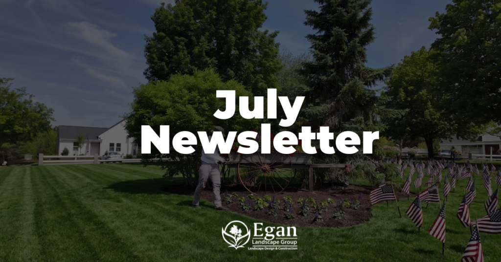 July Newsletter