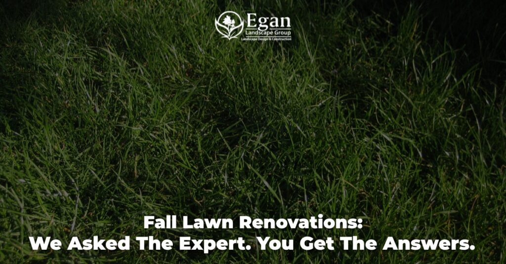Fall Lawn Renovations: We Asked The Expert. You Get The Answers.