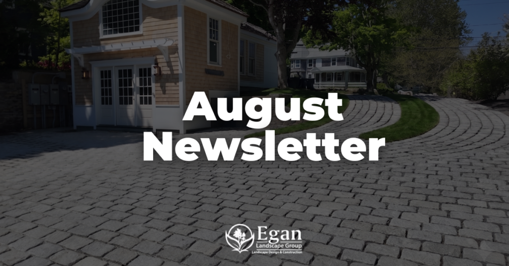 August Newsletter