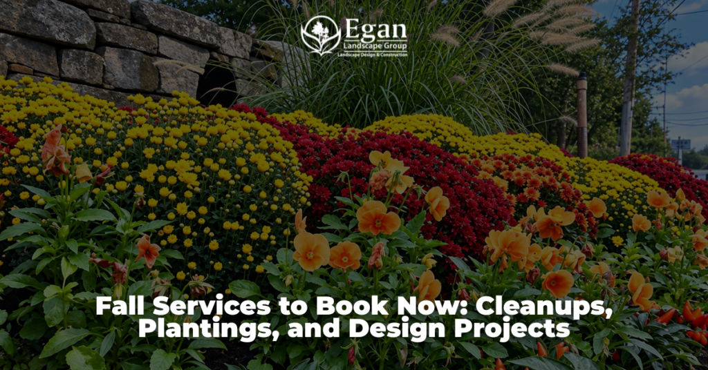 Fall Services to Book Now: Cleanups, Plantings, and Design Projects on the South Shore and Cape Cod