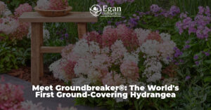 Meet Groundbreaker®